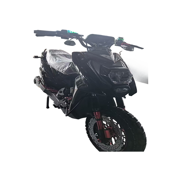 electric vehicle