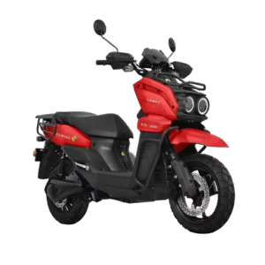 electric vehicle