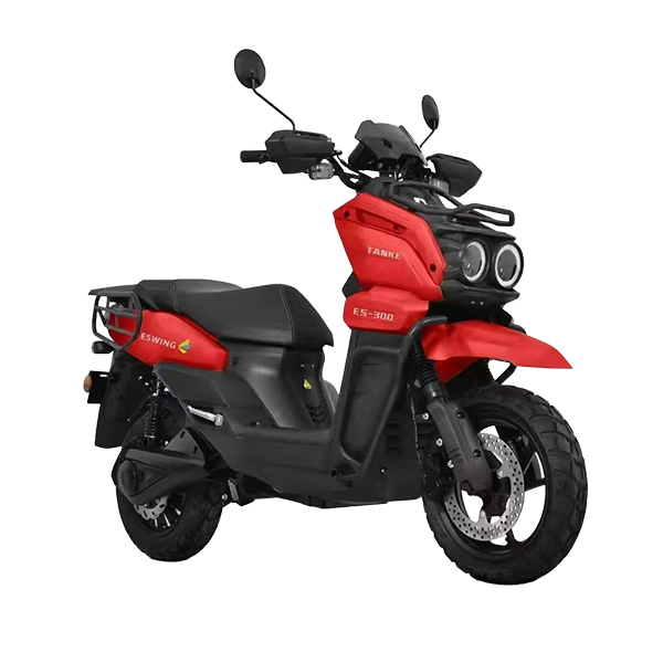 electric vehicle