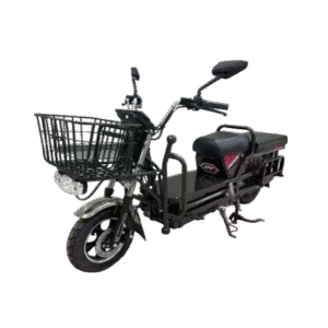 electric vehicle