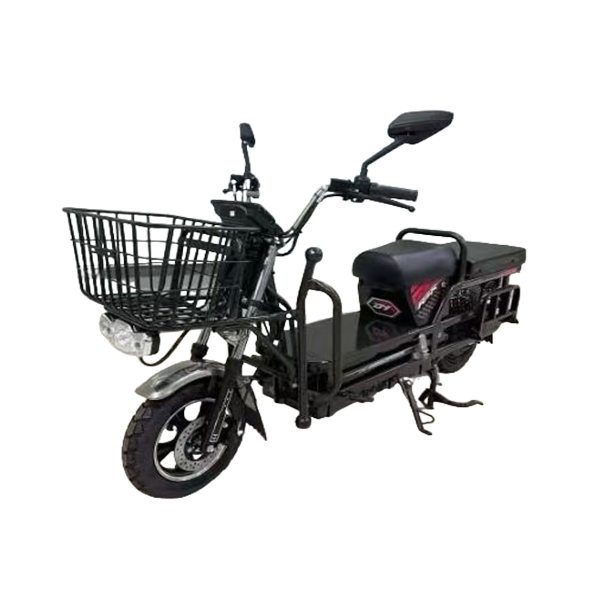 electric vehicle