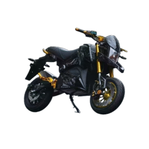 electric vehicle