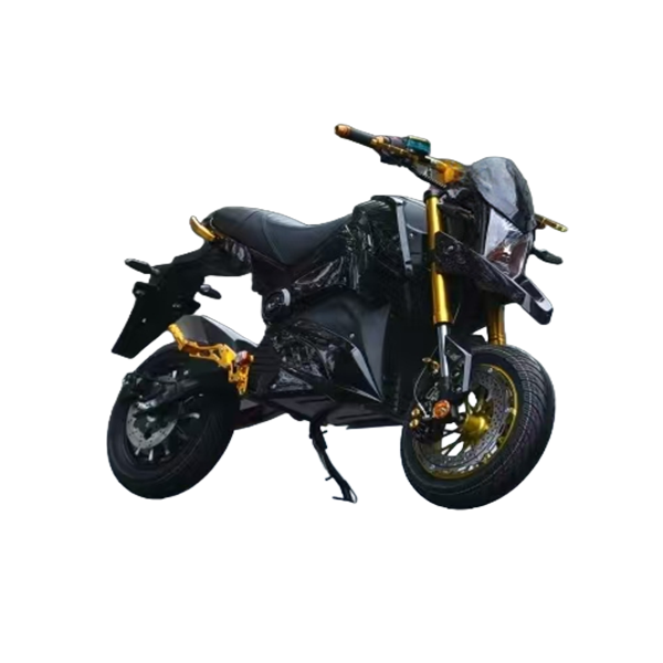 electric vehicle