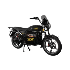 electric vehicle
