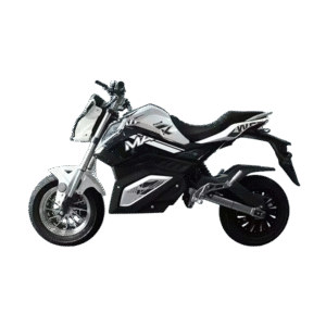 electric vehicle