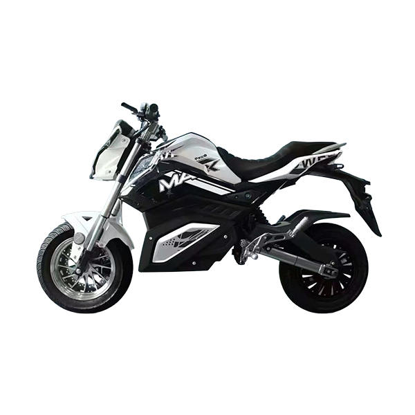 electric vehicle