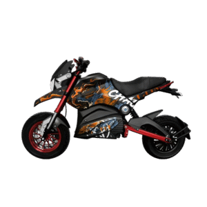electric vehicle