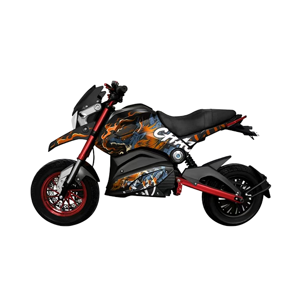 electric vehicle
