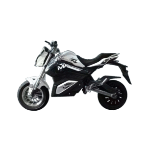 electric vehicle