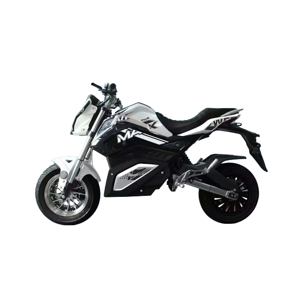 electric vehicle