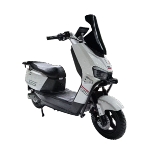 electric vehicle