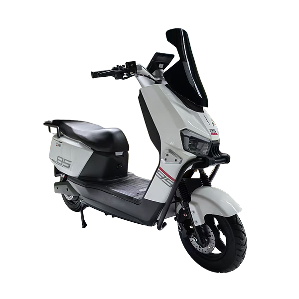 electric vehicle