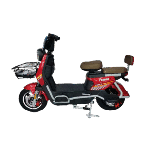 electric vehicle